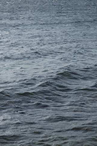 wolfgang_vollmer_ sea_2015.jpg