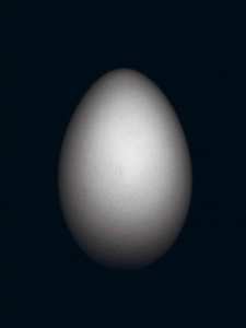 EdgarL_EGG4_0.jpg
