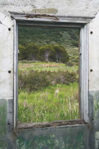 JESSICA BACKHAUS_Absence_2013_85 x 122 cm_web.jpg