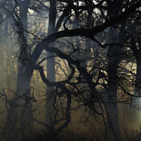 4-Lichtblick-Jane Fulton Alt.jpg