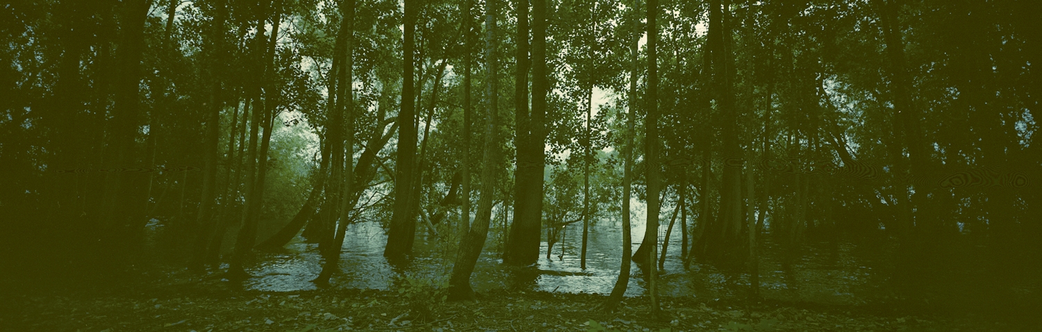 2.Ohne-Titel,_2012,_aus-der-Serie-Landscape,_des STREAM-Projektes,_Copyright_Ralf-Tietz.jpg